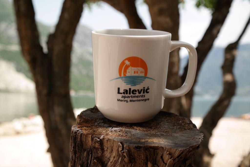 דוני מוריני Apartments Lalevic מראה חיצוני תמונה